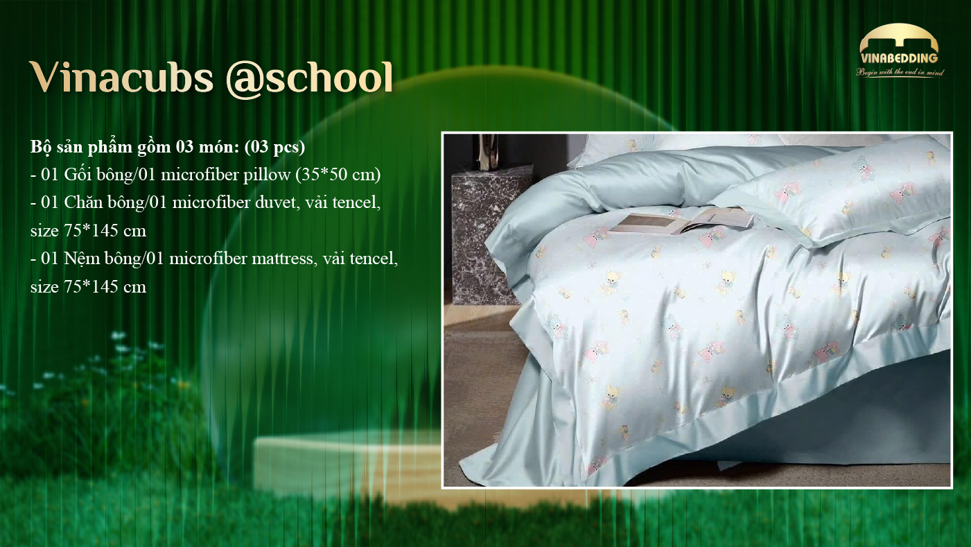 VinaCubs @School