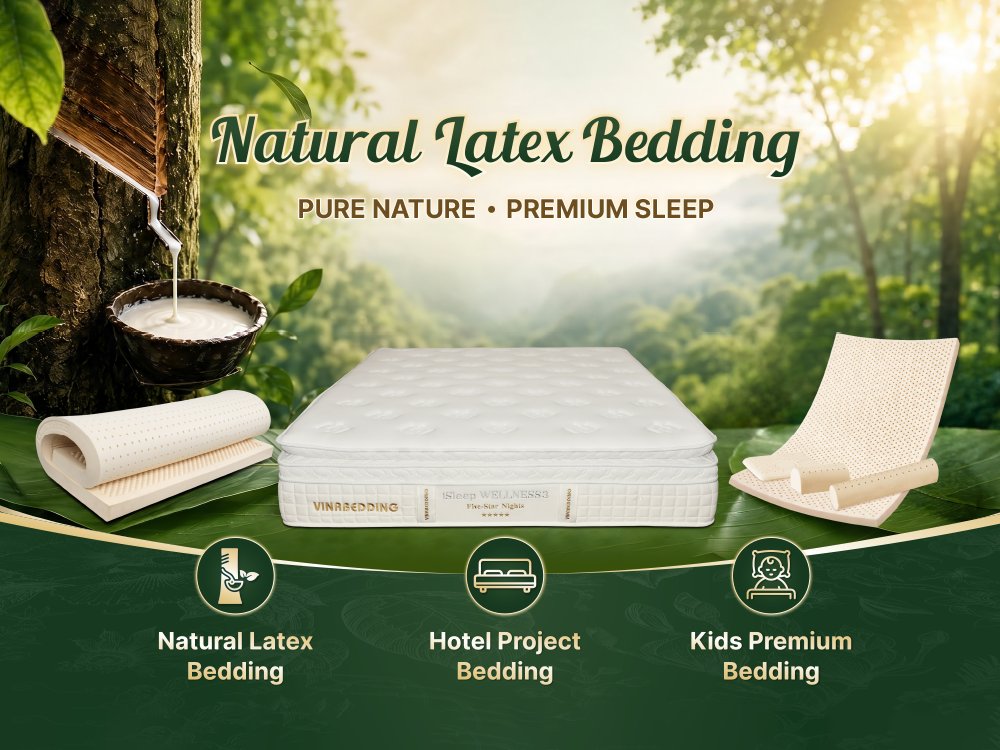 Vinabedding: Establishing the 