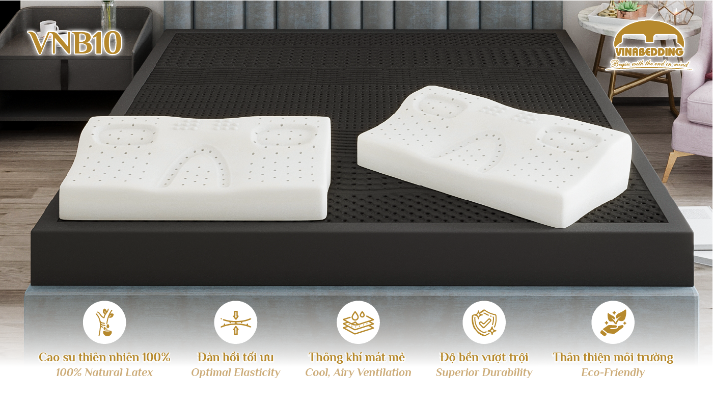 VINACLOUD NATURAL LATEX PILLOW SERIES 10