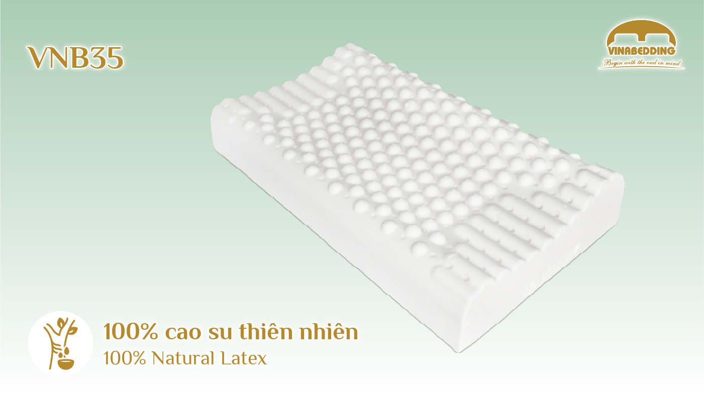 VINACLOUD NATURAL LATEX PILLOW SERIES 35