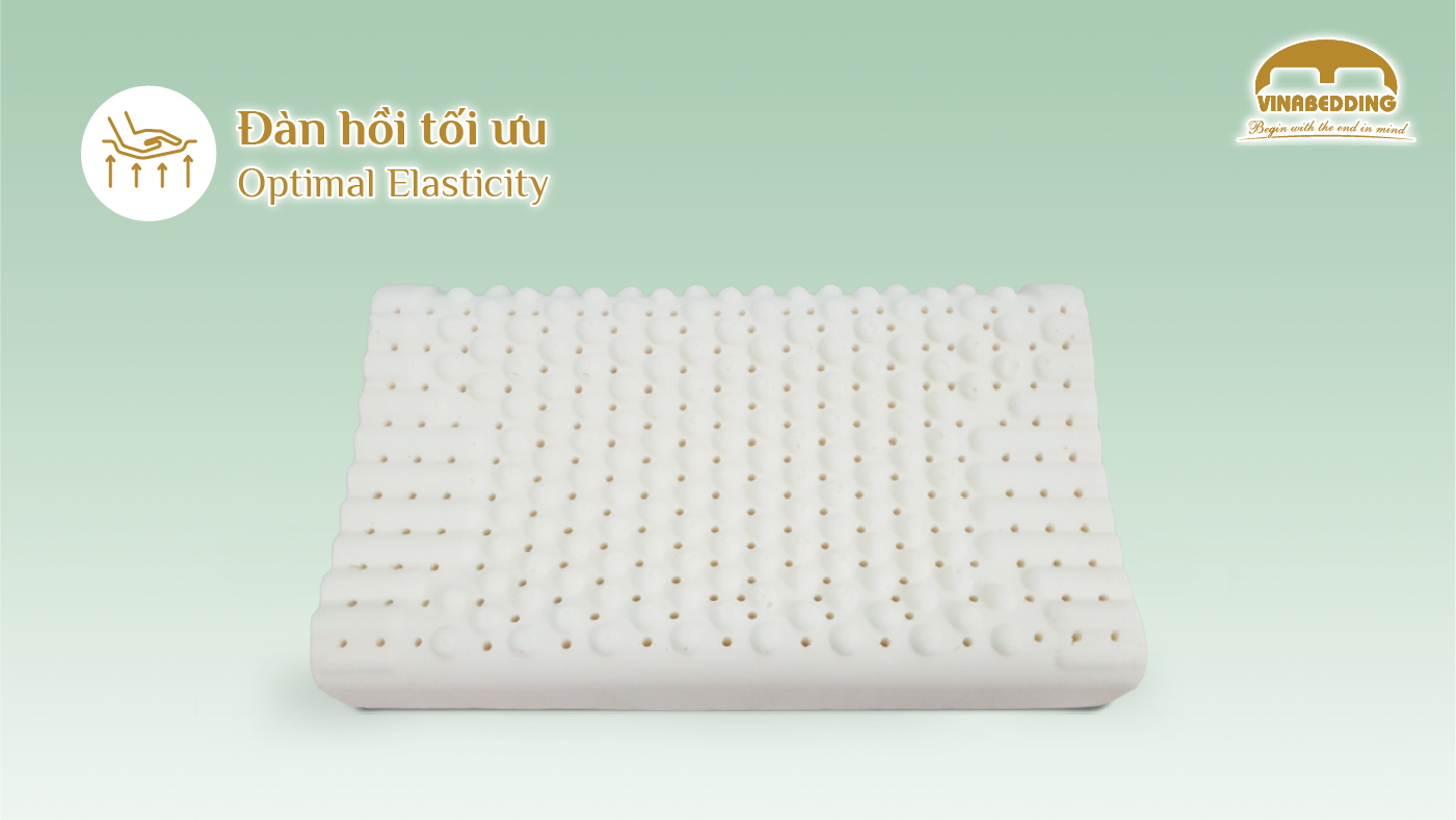 VINACLOUD NATURAL LATEX PILLOW SERIES 35