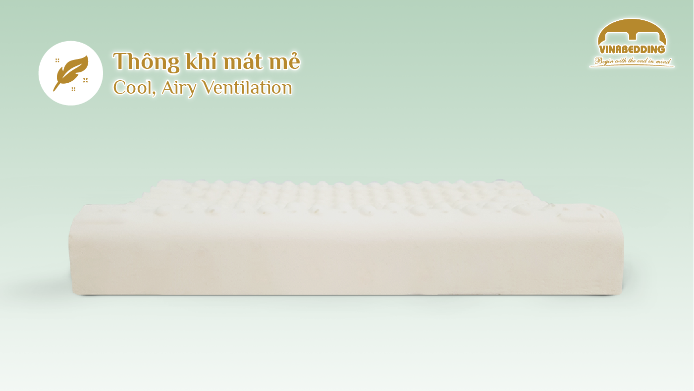 VINACLOUD NATURAL LATEX PILLOW SERIES 35