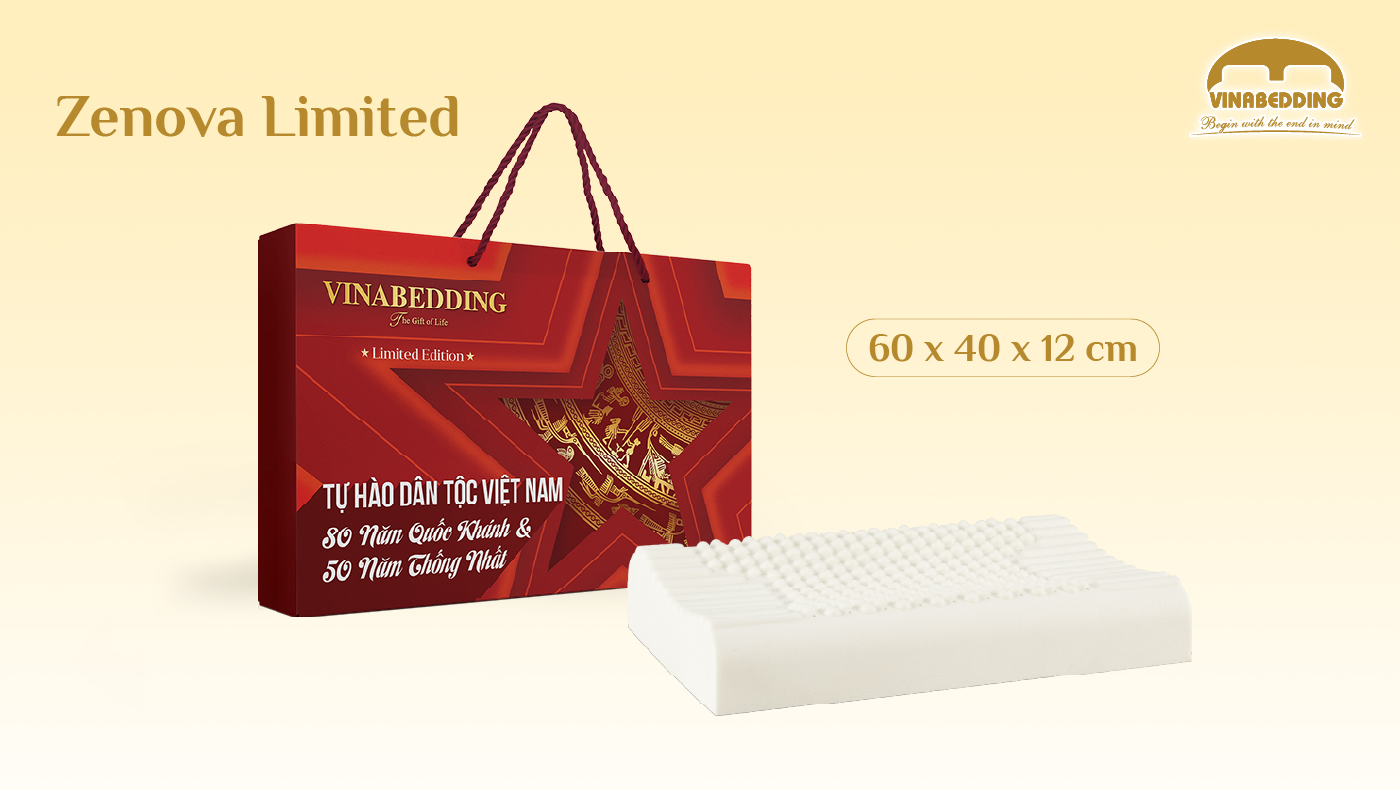 VIETNAMESE HERITAGE PILLOW – SPECIAL EDITION (FIVE - POINTED STAR) 