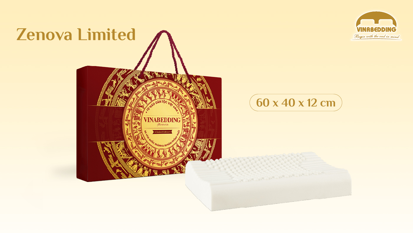 VIETNAMESE HERITAGE PILLOW – SPECIAL EDITION  (VIETNAMESE BRONZE DRUM) 