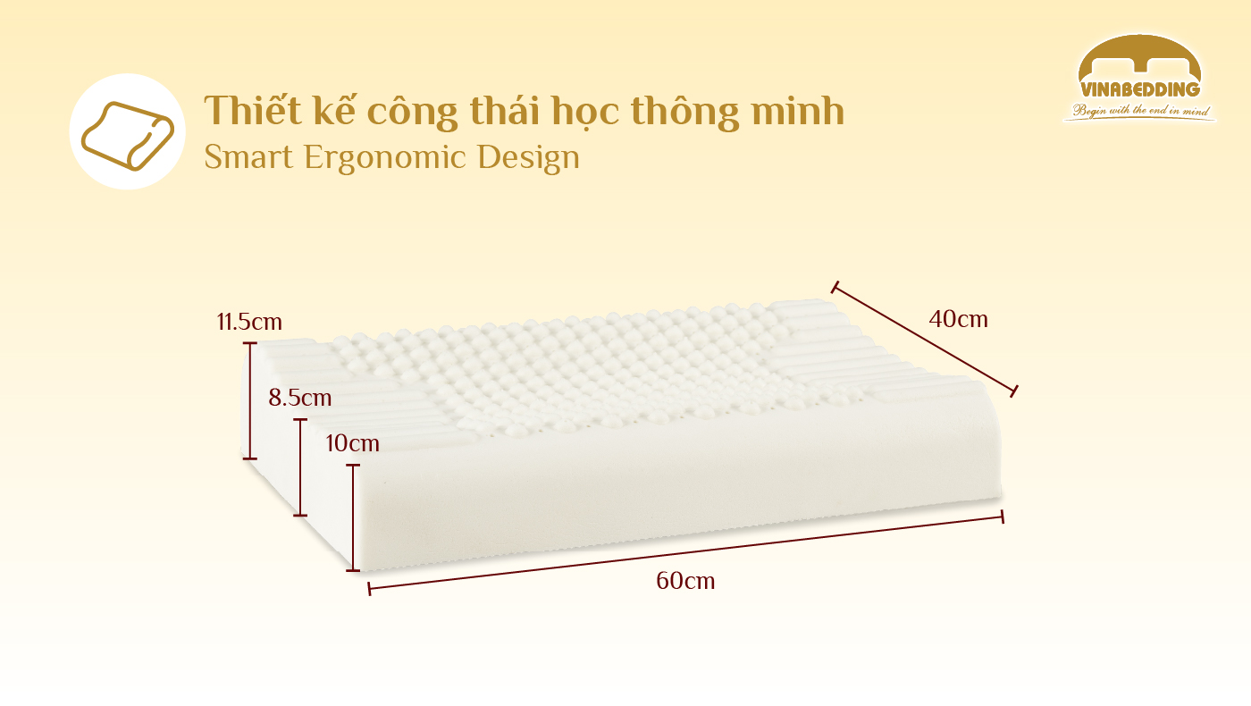 VIETNAMESE HERITAGE PILLOW – SPECIAL EDITION (FIVE - POINTED STAR) 